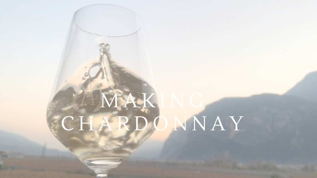 in the cellar: Chardonnay